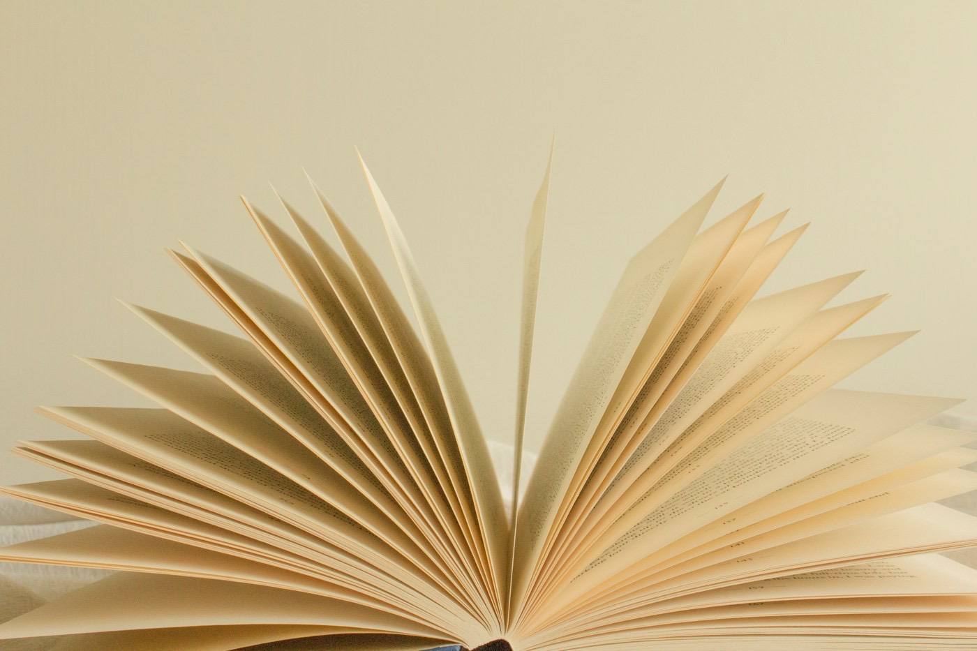 An open book with fanned pages